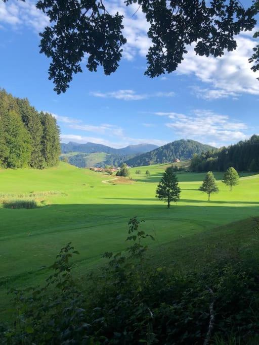 Lovely Three Bedroom Rental Unit Oberstaufen Exterior photo